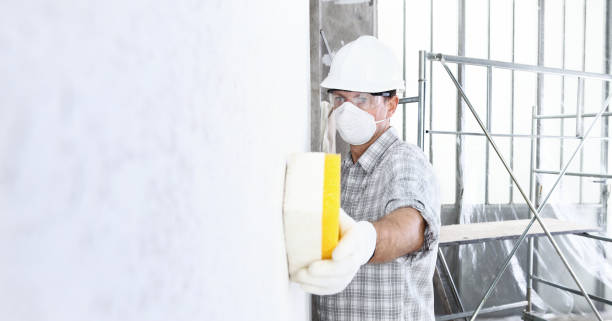 Best Mold Damage Restoration  in Hartville, OH